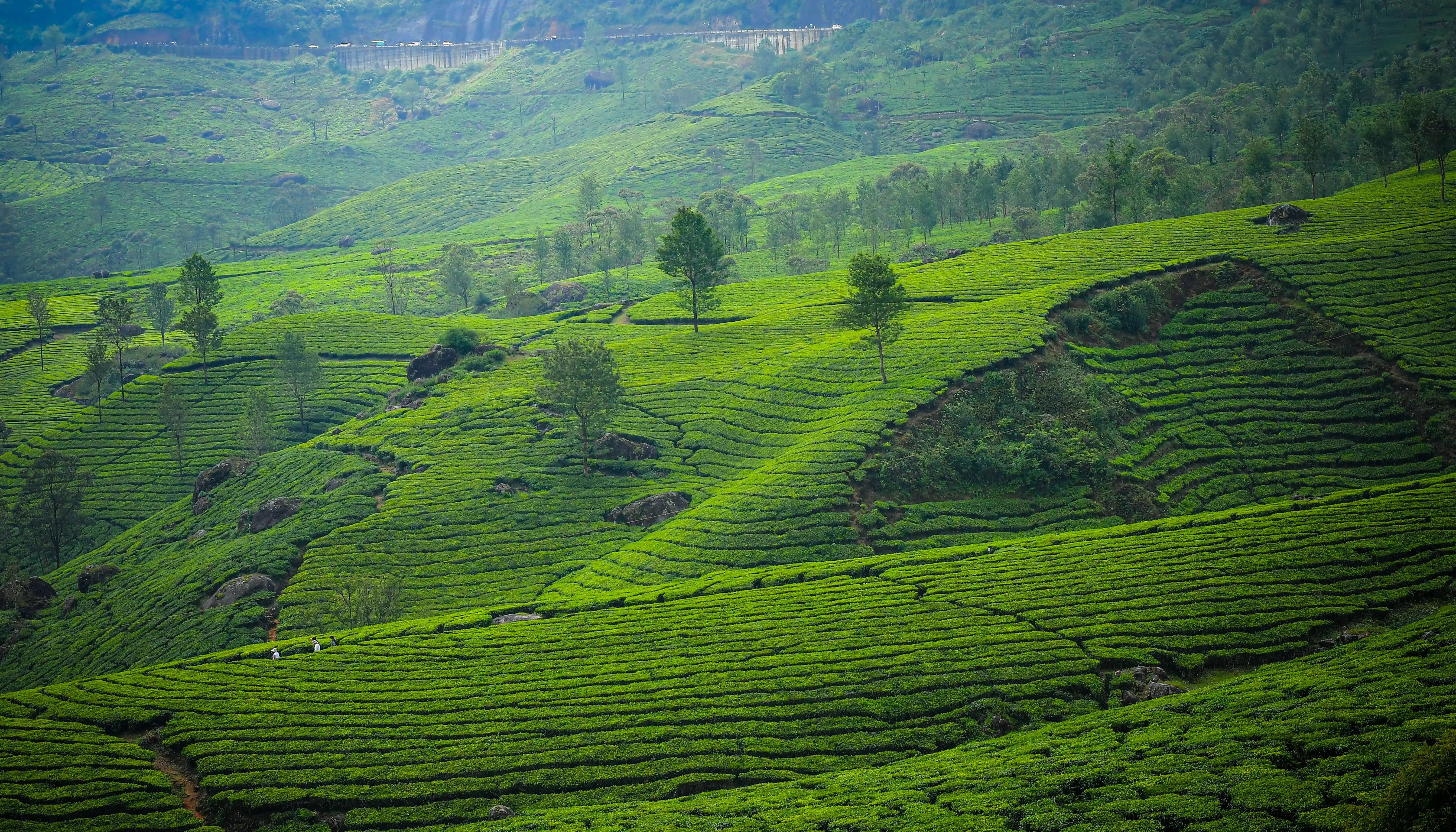 Munnar